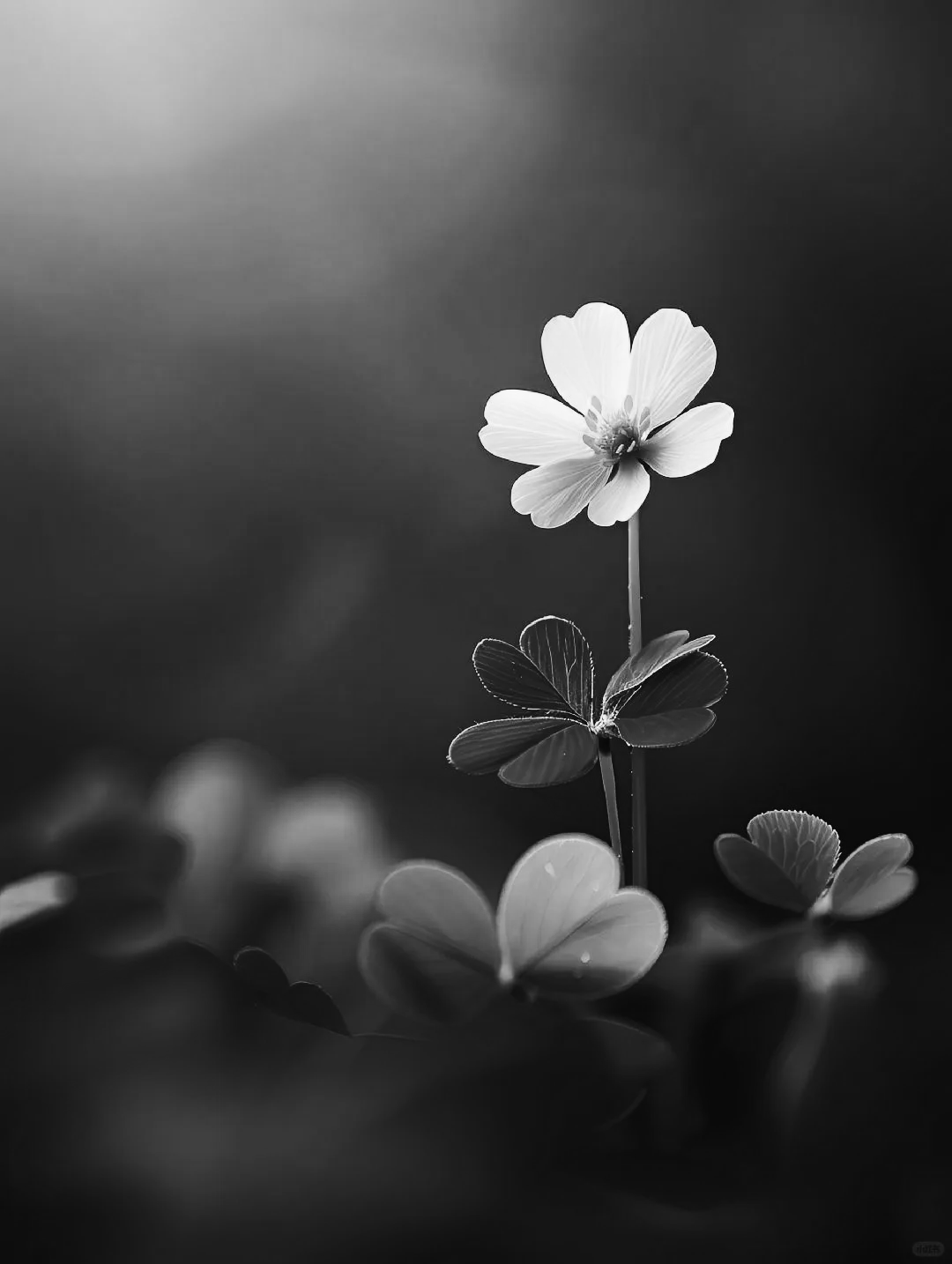 IMG_20240610_190302.png