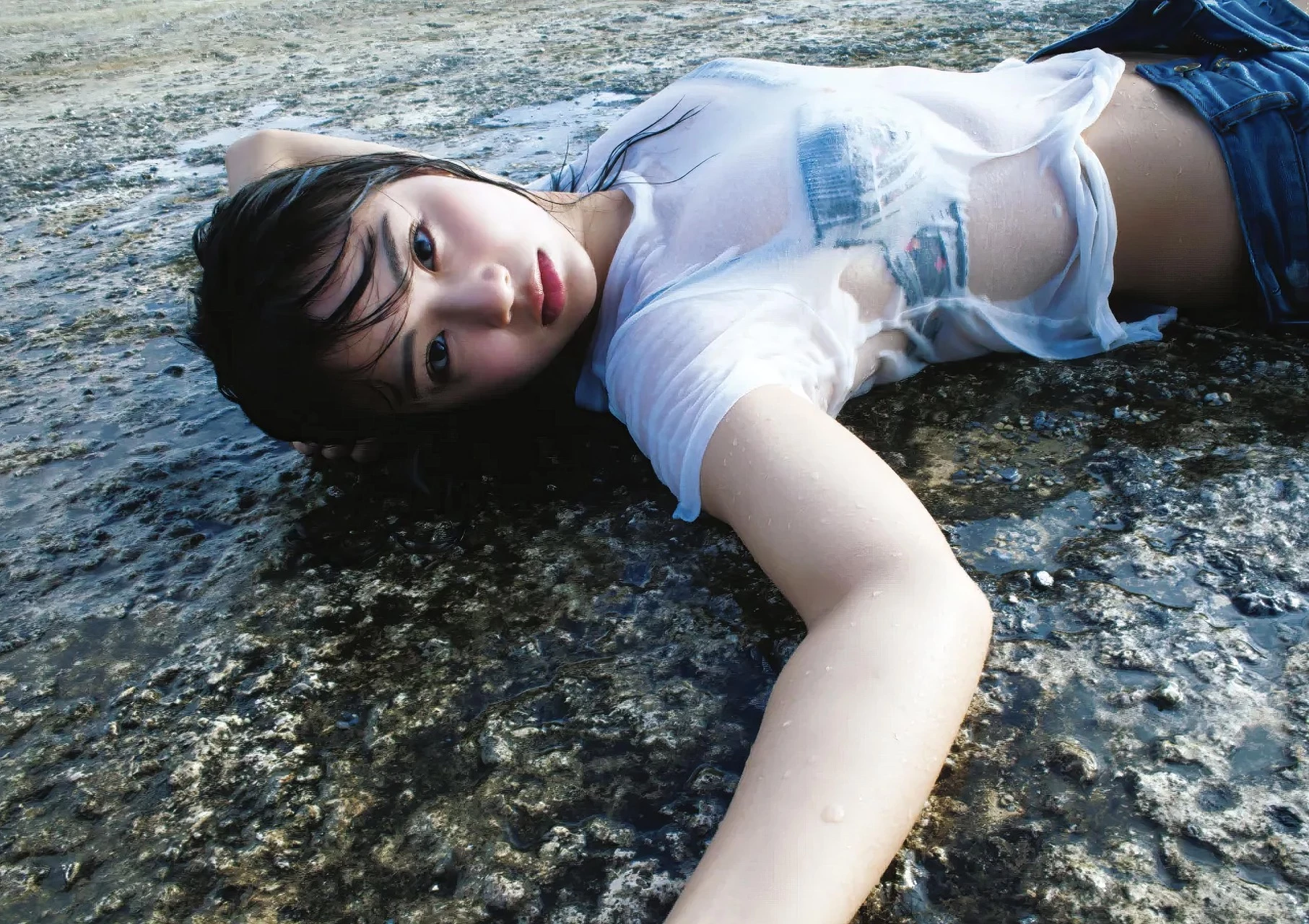 31050835.webp