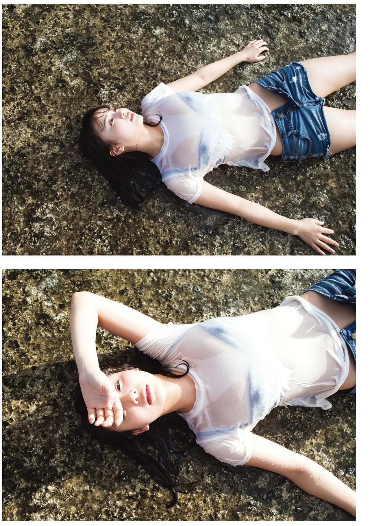 31050836.webp