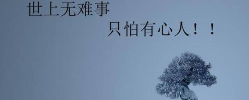 QQ图片20240719132220.png