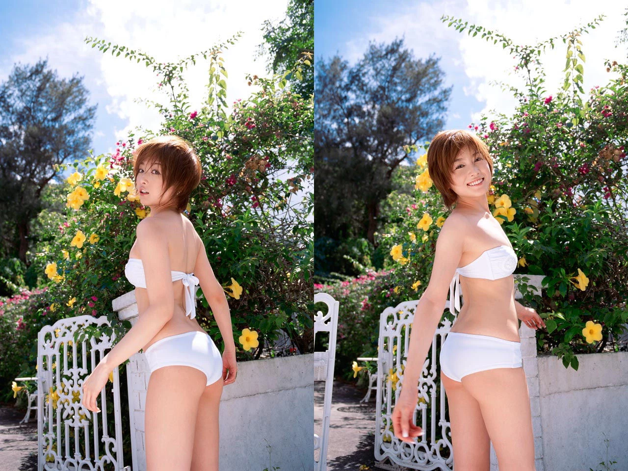 30631709.webp