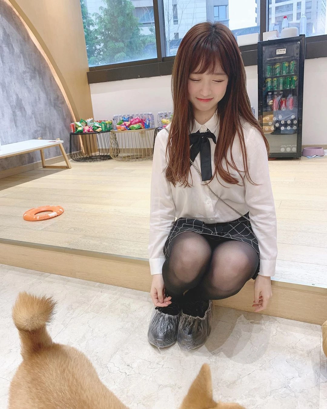 18394103.webp