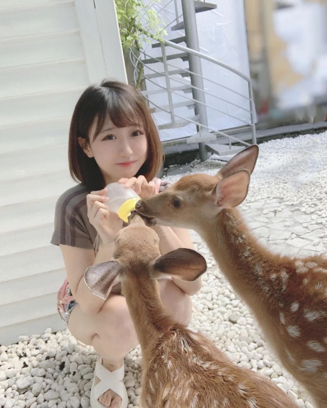 18394109.webp