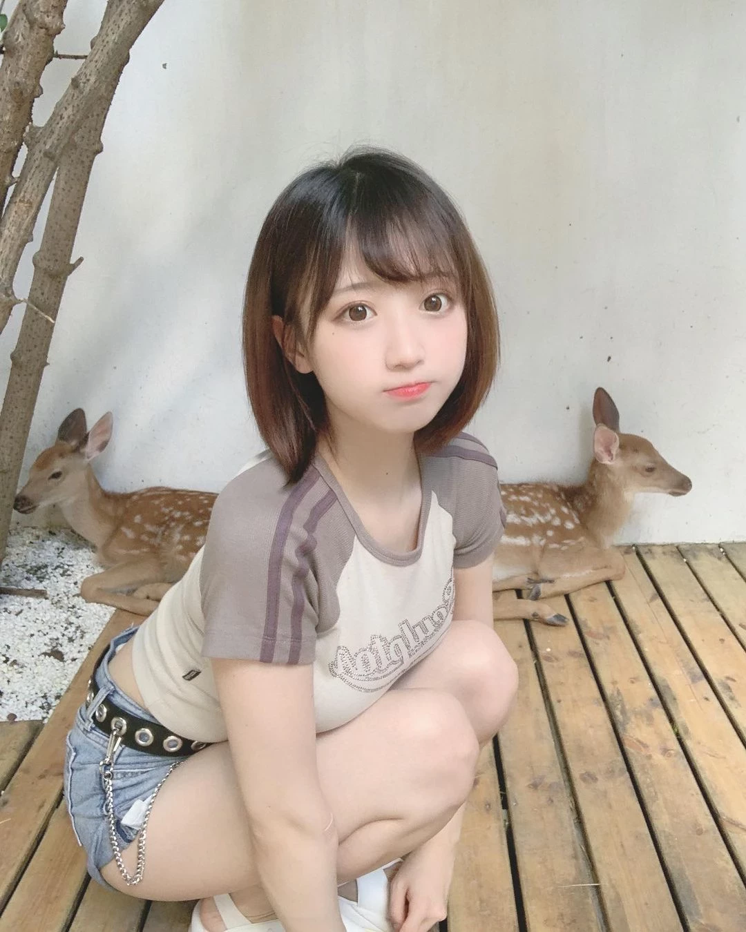 18394113.webp