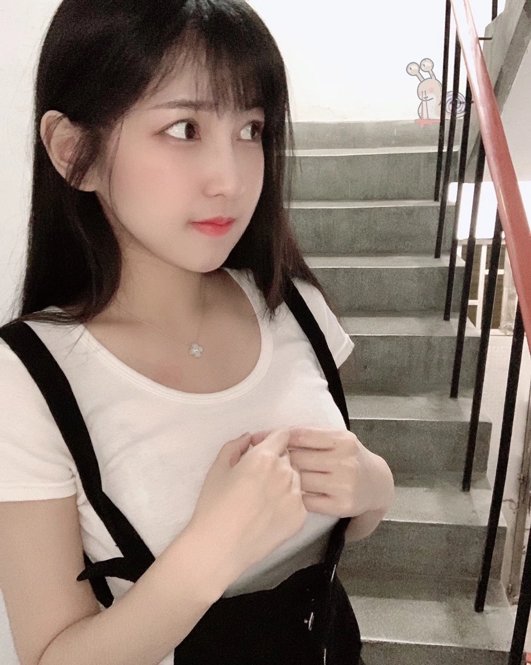 1753409.webp