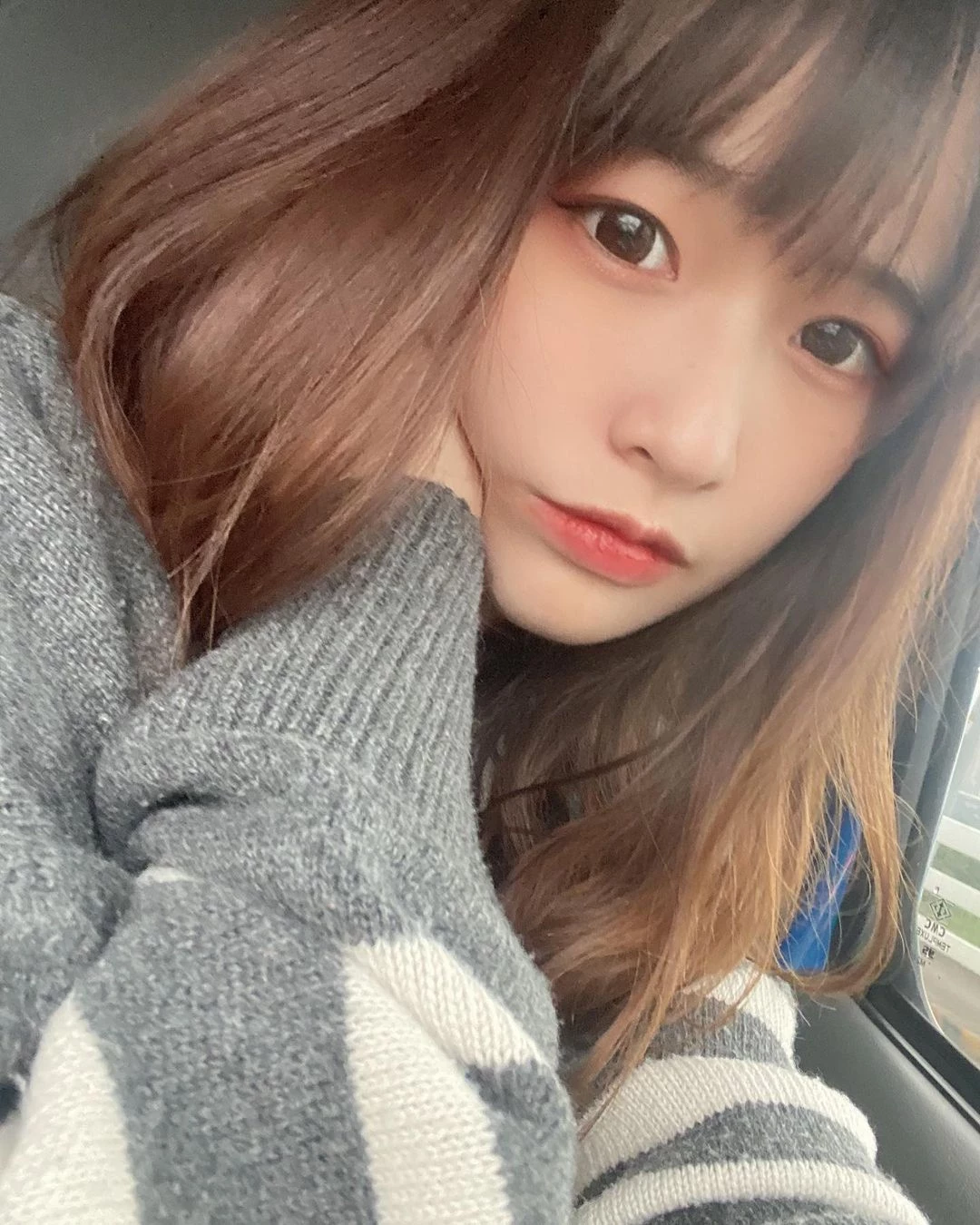 18527702.webp
