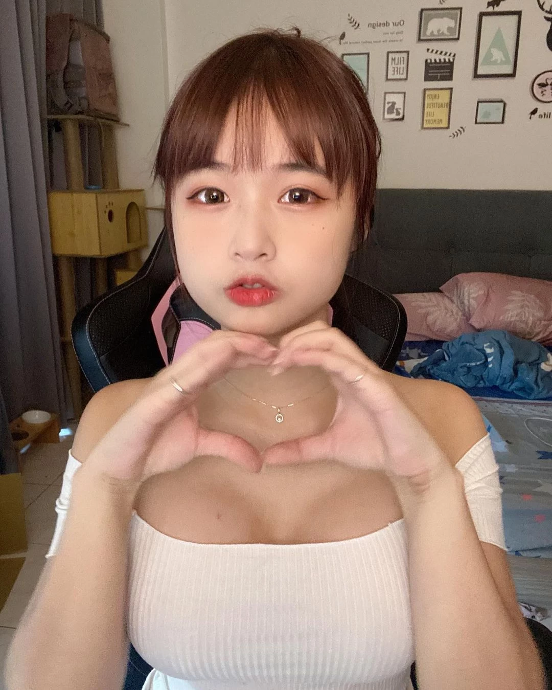 18527704.webp