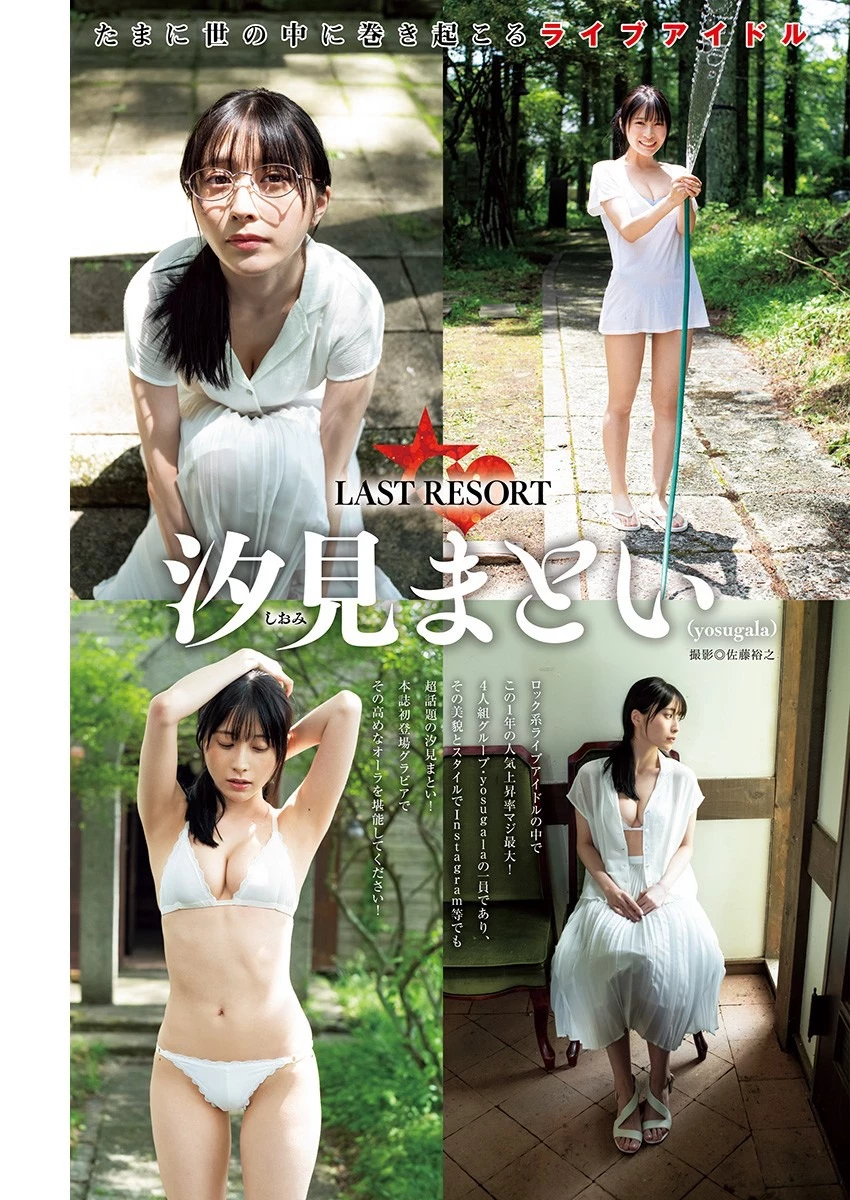 31174211.webp