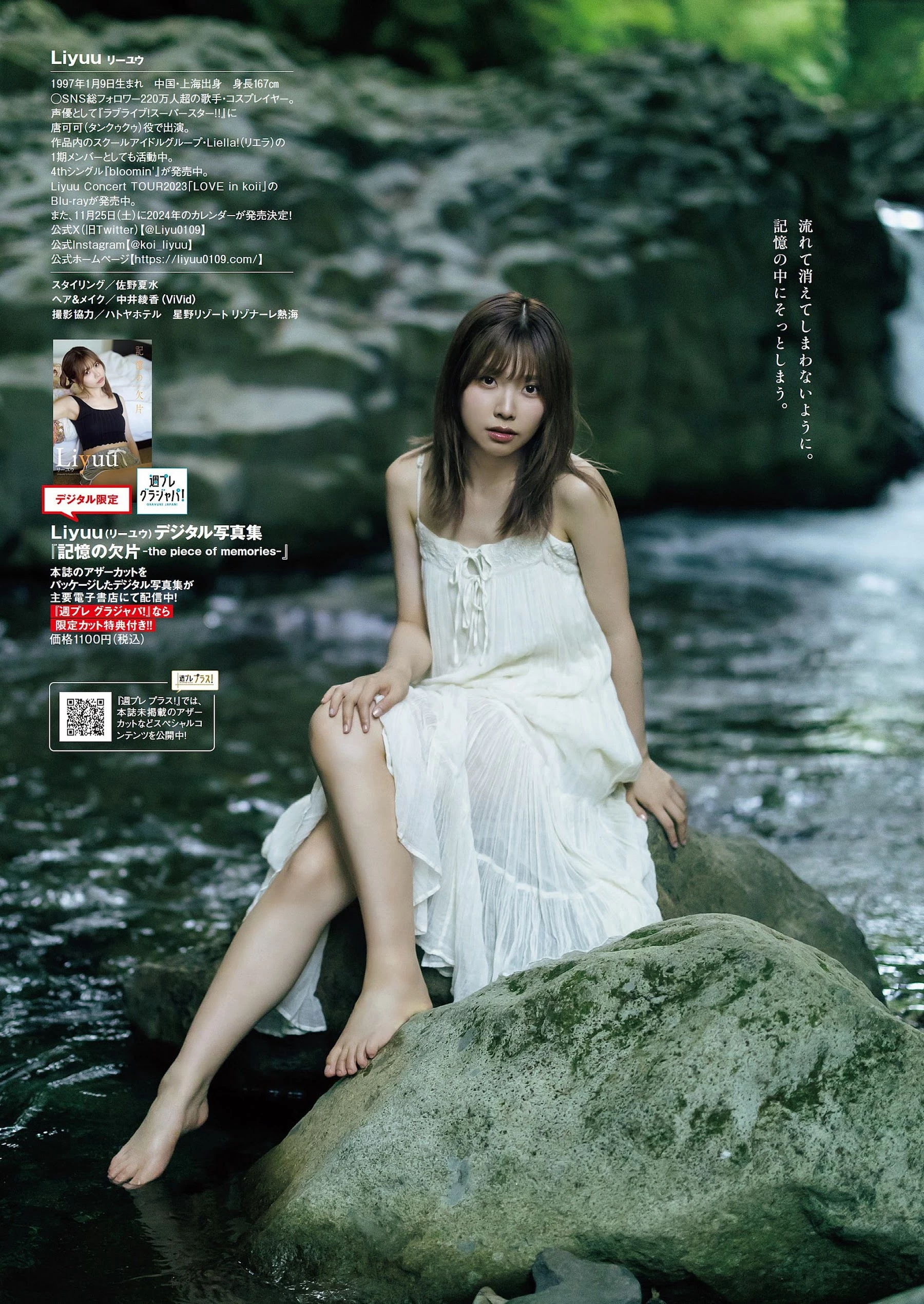 31174062.webp