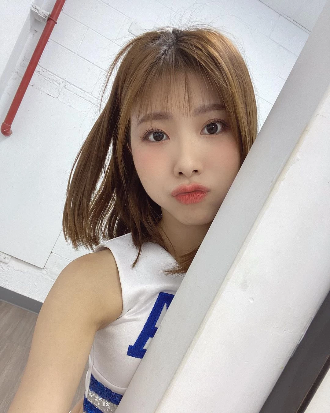 18215928.webp