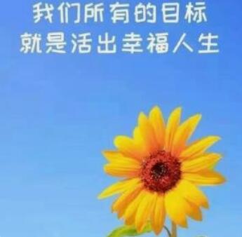 QQ截图20240831171543.jpg