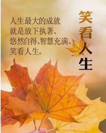 QQ截图20240831171535.jpg
