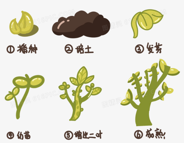 QQ图片20240901075419.png