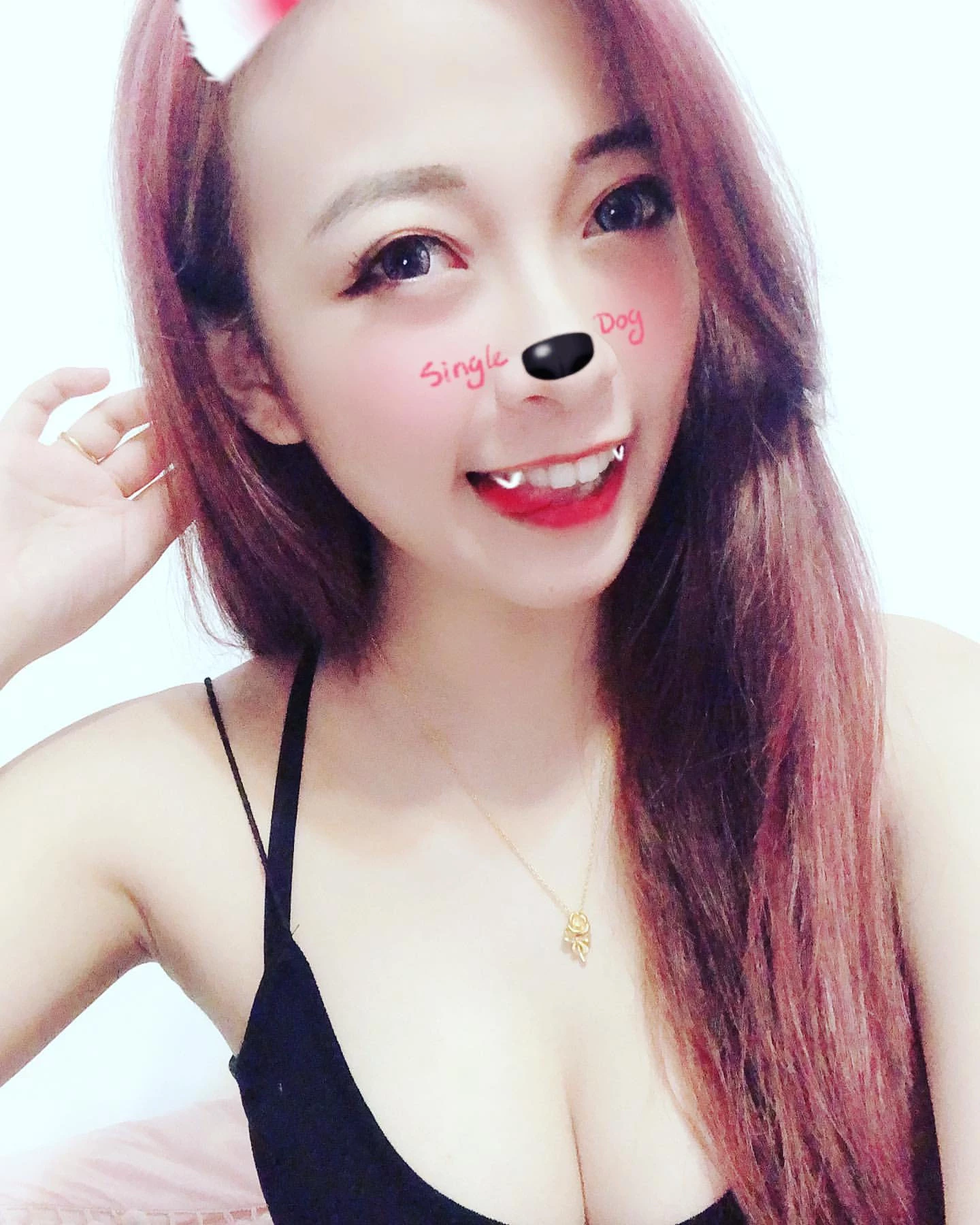 4320621.webp