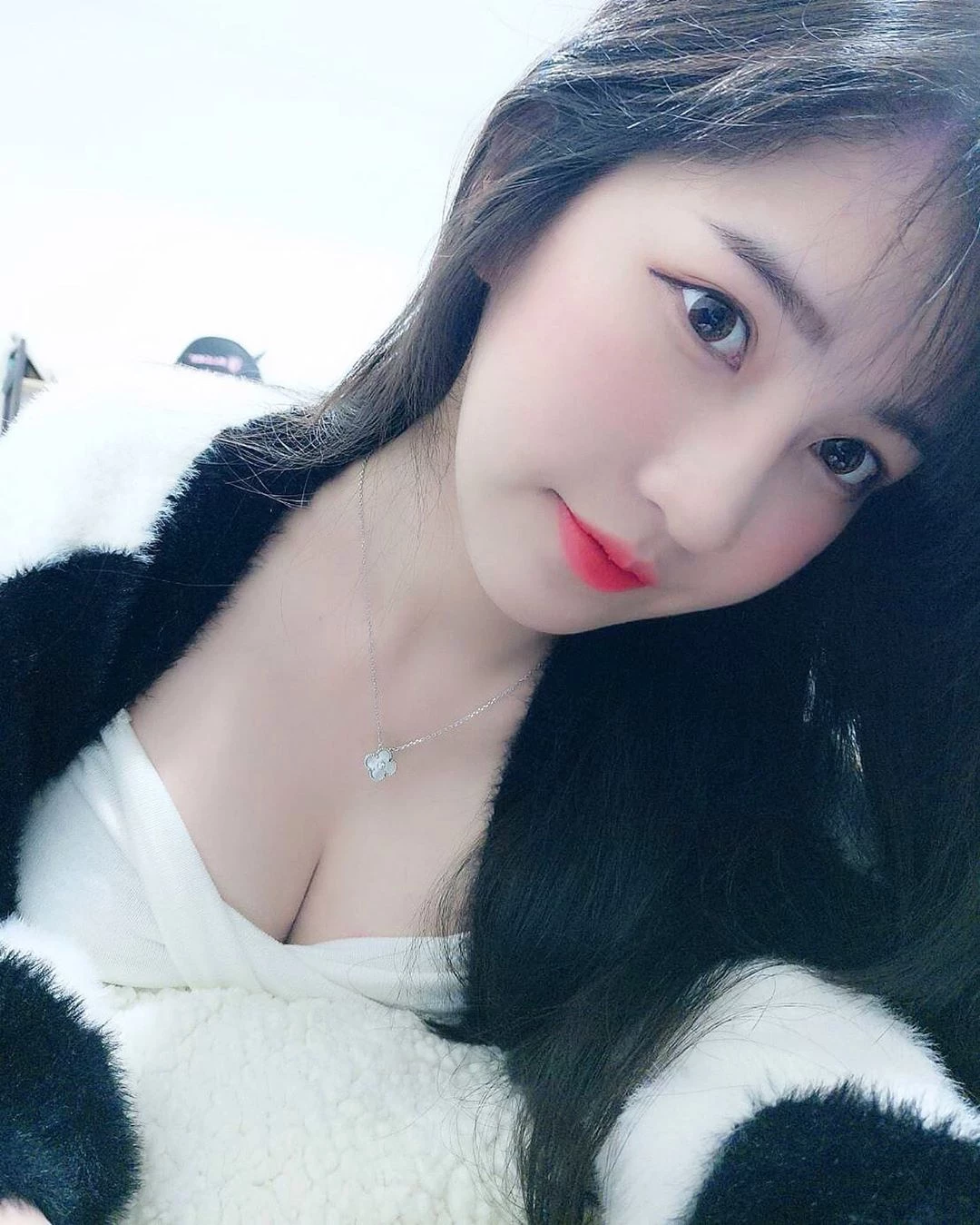 1753426.webp