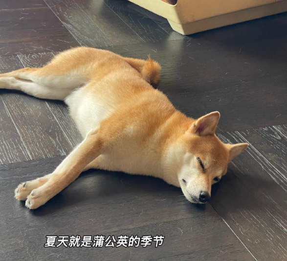 QQ图片20240907075502.png