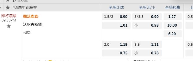 勒沃库森.jpg
