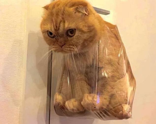 QQ截图20240924093347.jpg