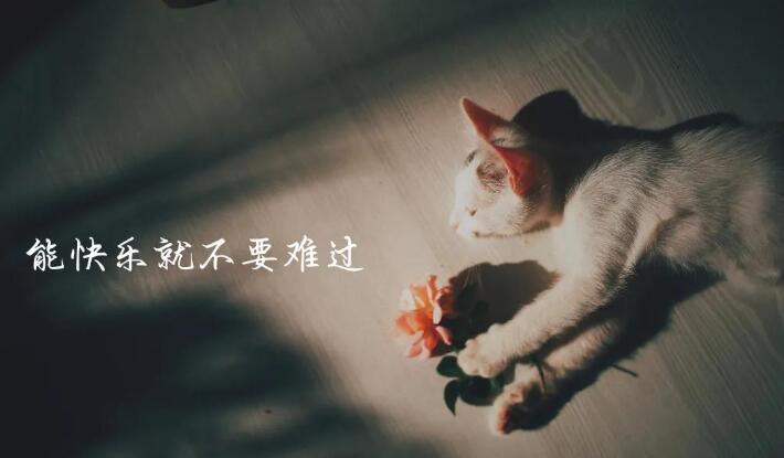 QQ截图20240928222529.jpg