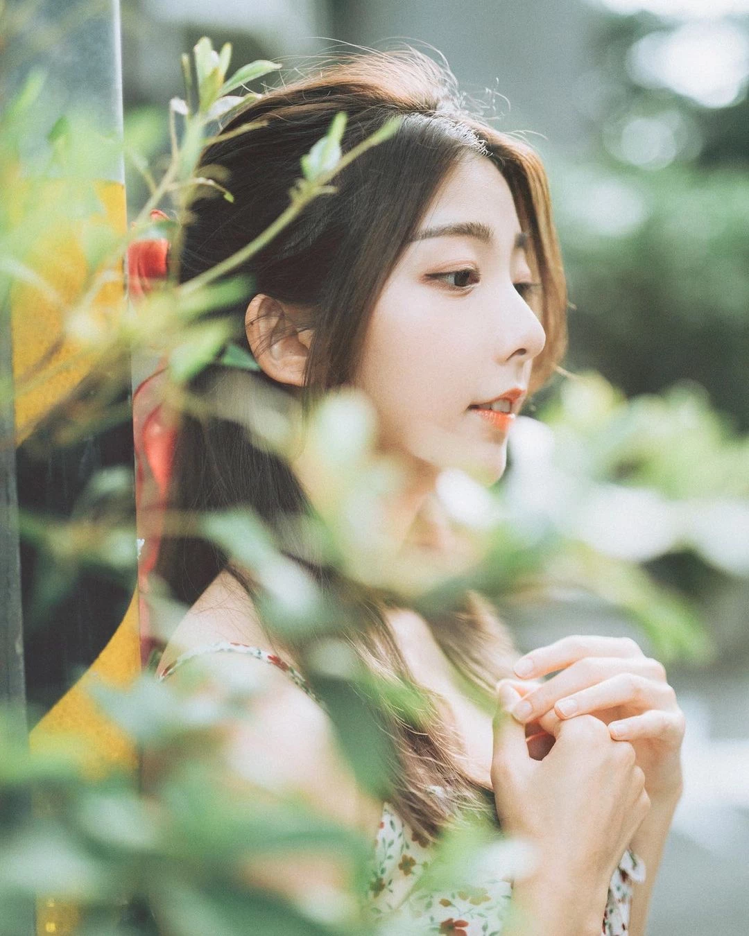 18404450.webp