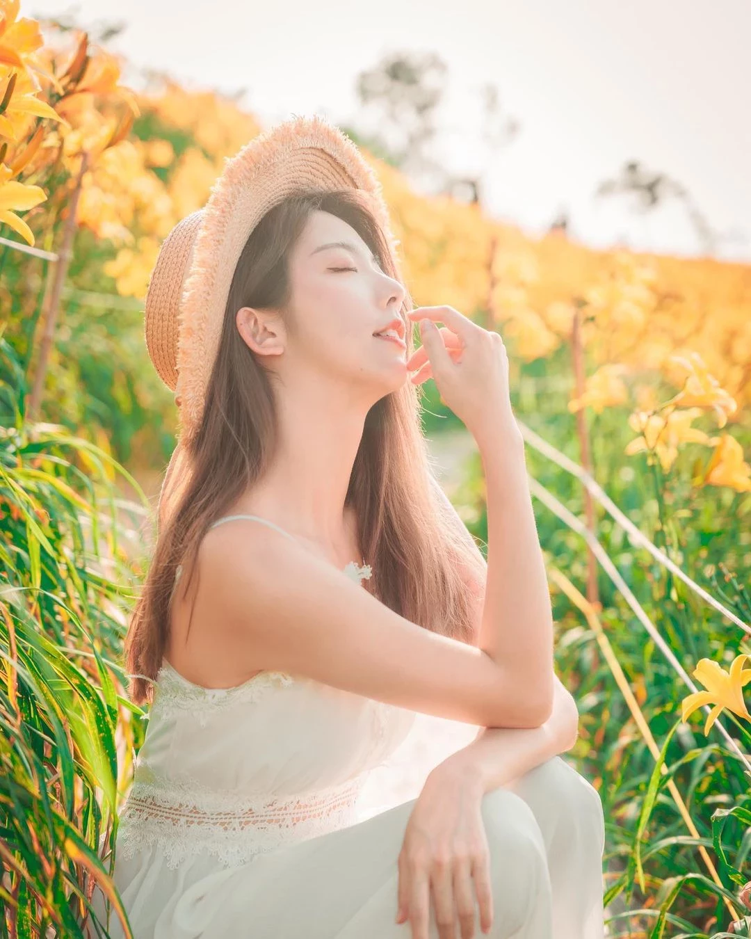 18404451.webp