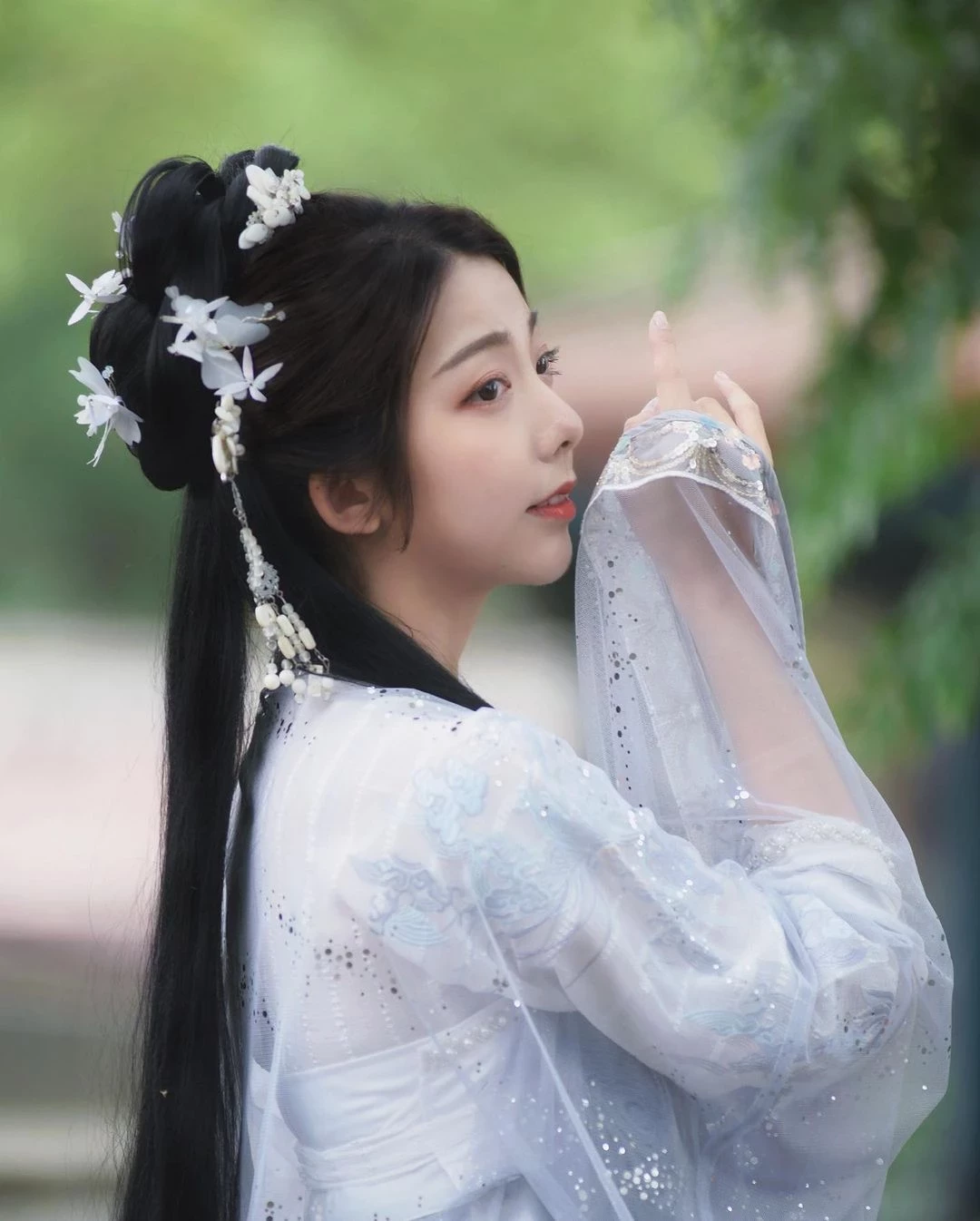 18404463.webp