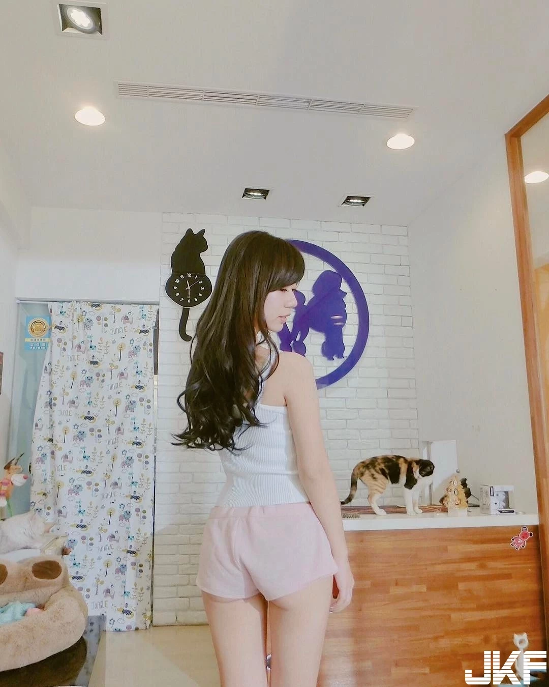 7253005.webp