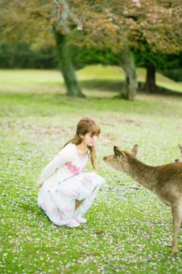29732067.webp