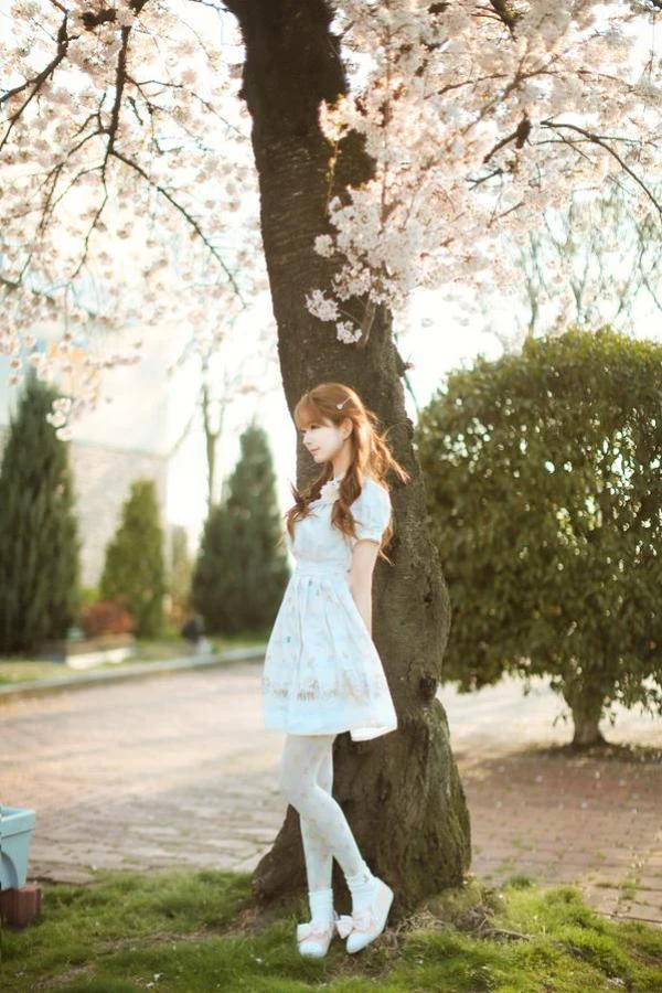 29732077.webp