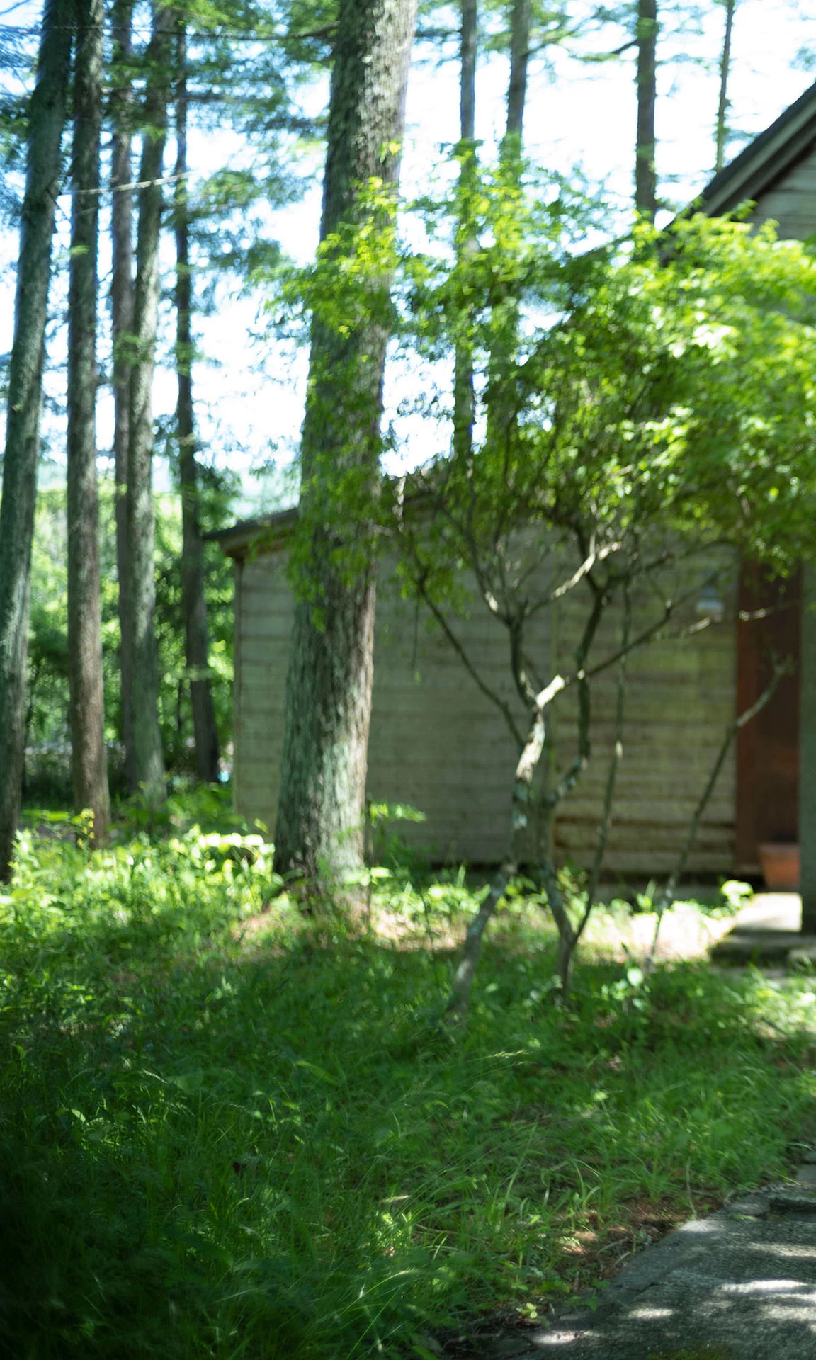 29764083.webp