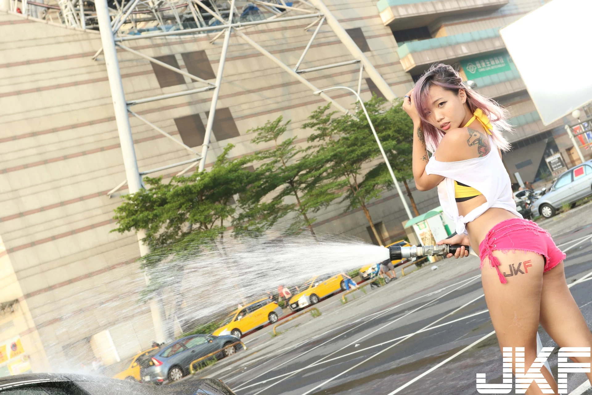 16854497.webp