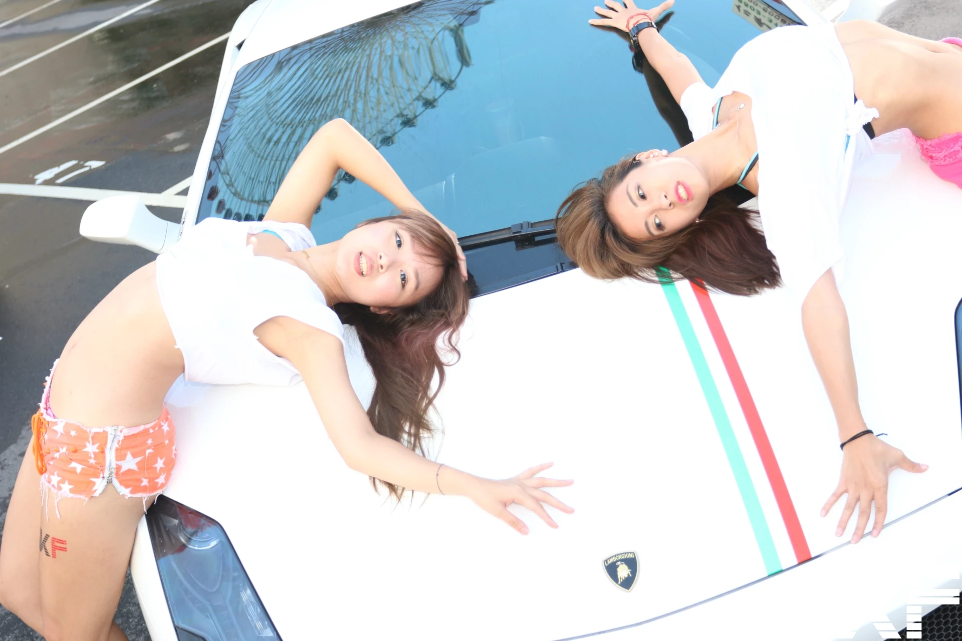 16854527.webp