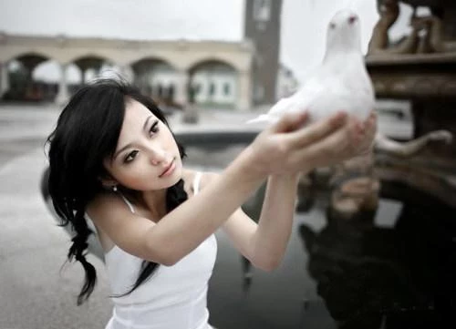 17637313.webp