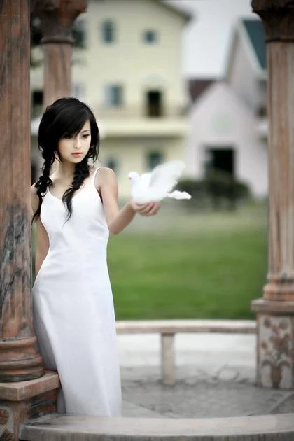 17637317.webp