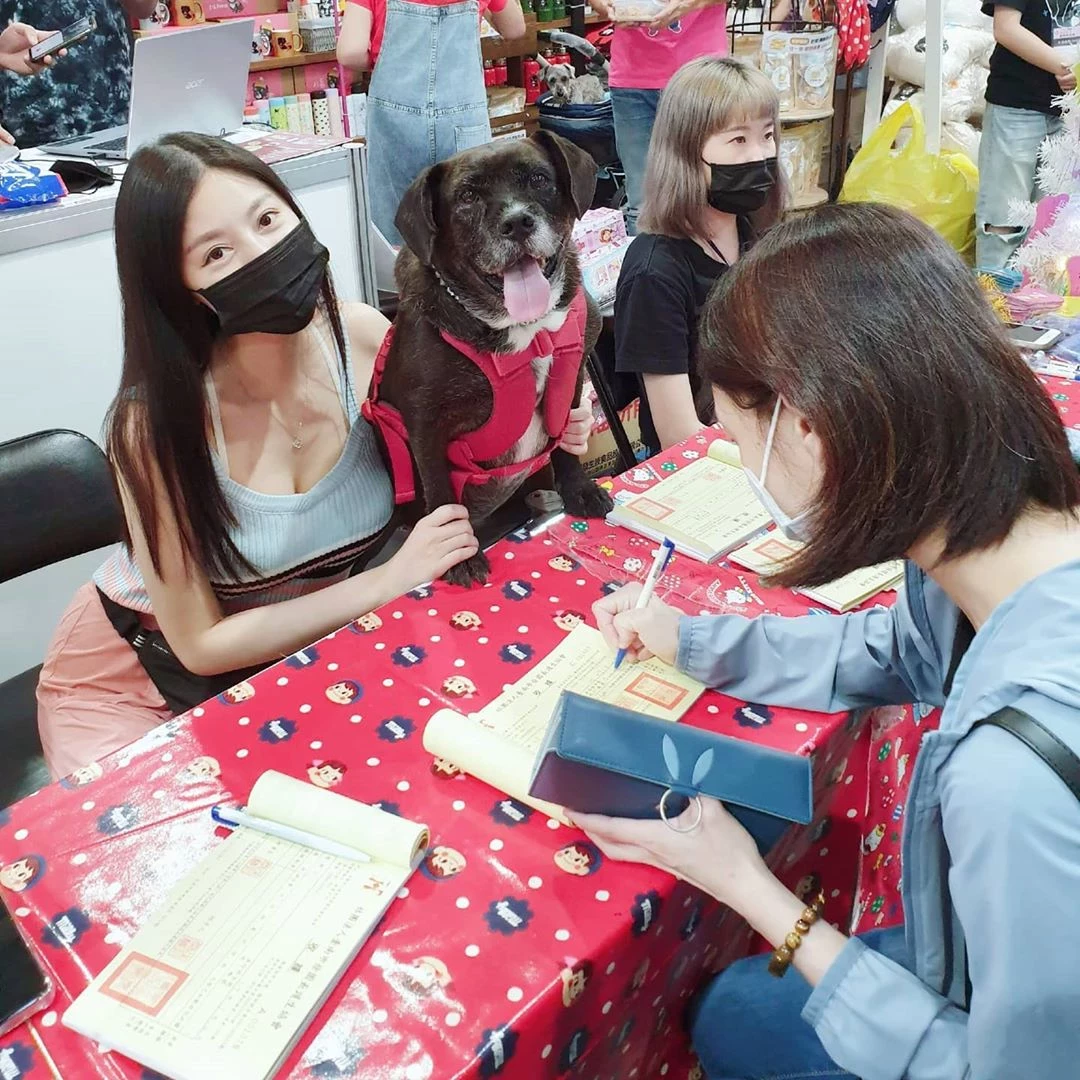 3912879.webp