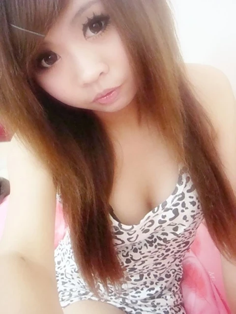 17677144.webp