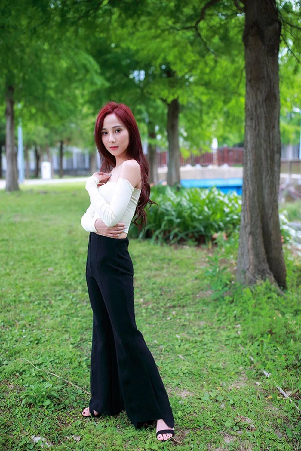 4331173.webp