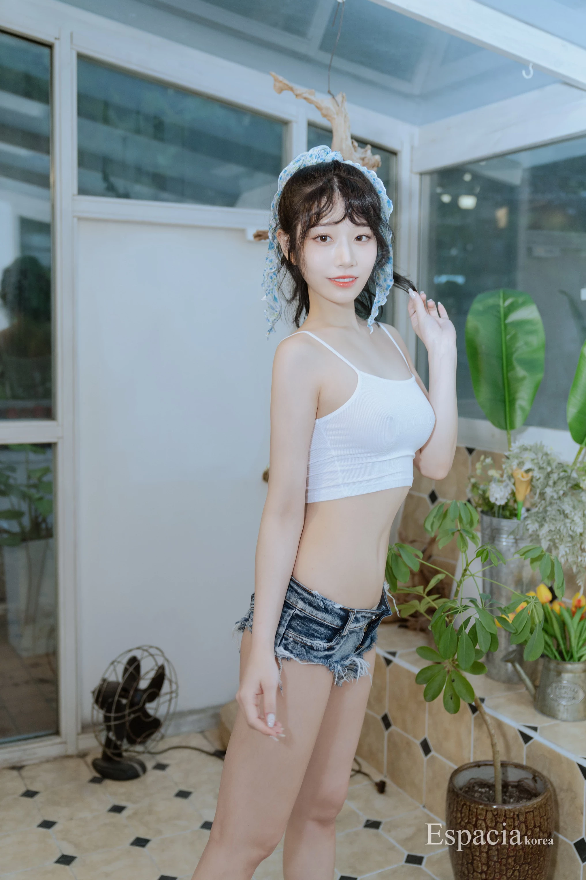 29356847.webp