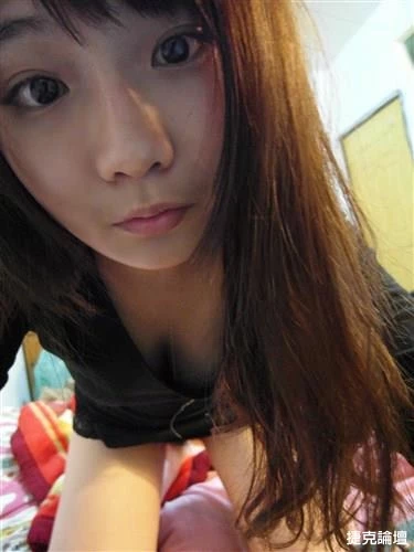 17553708.webp