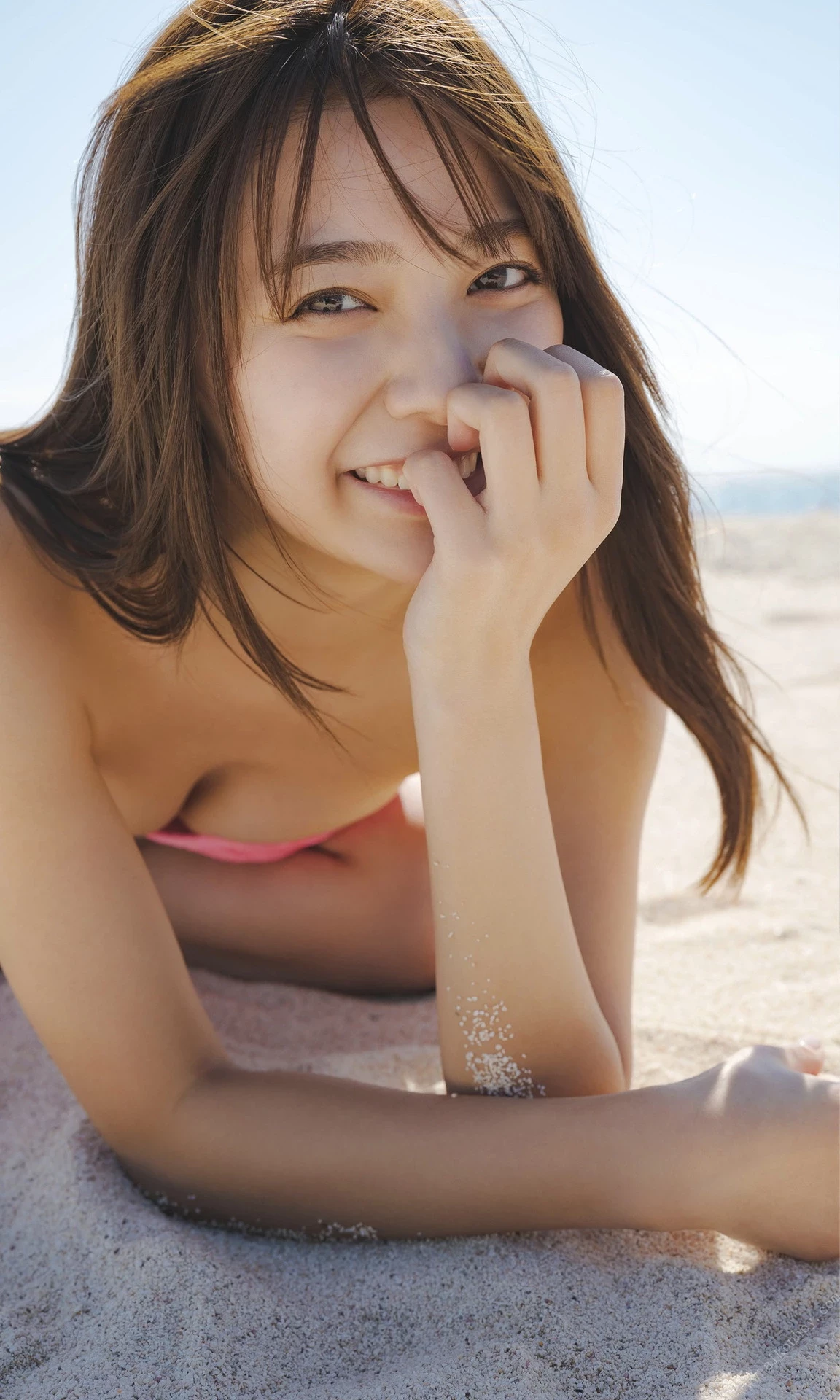 29186027.webp