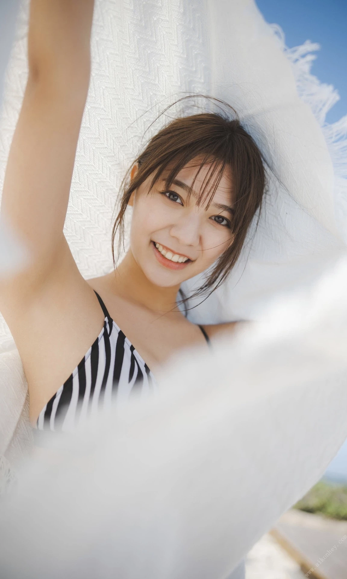 29186045.webp