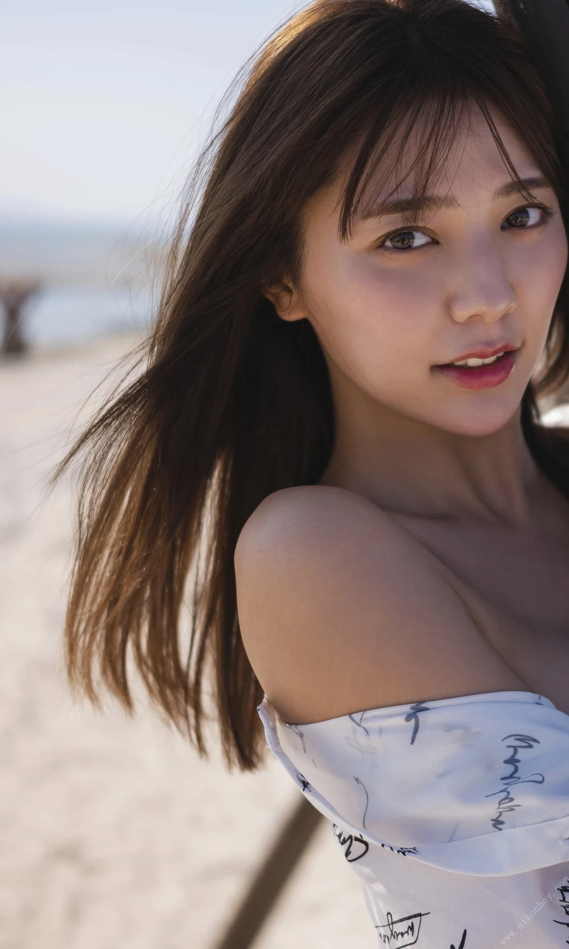 29186050.webp