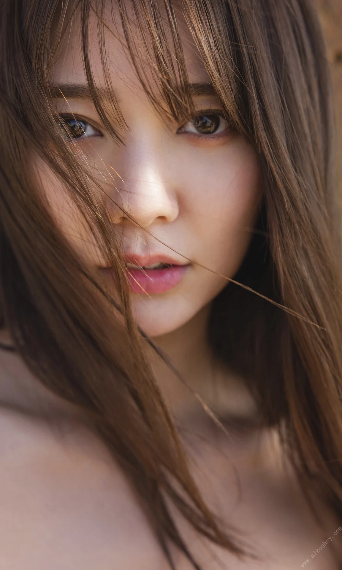 29186058.webp