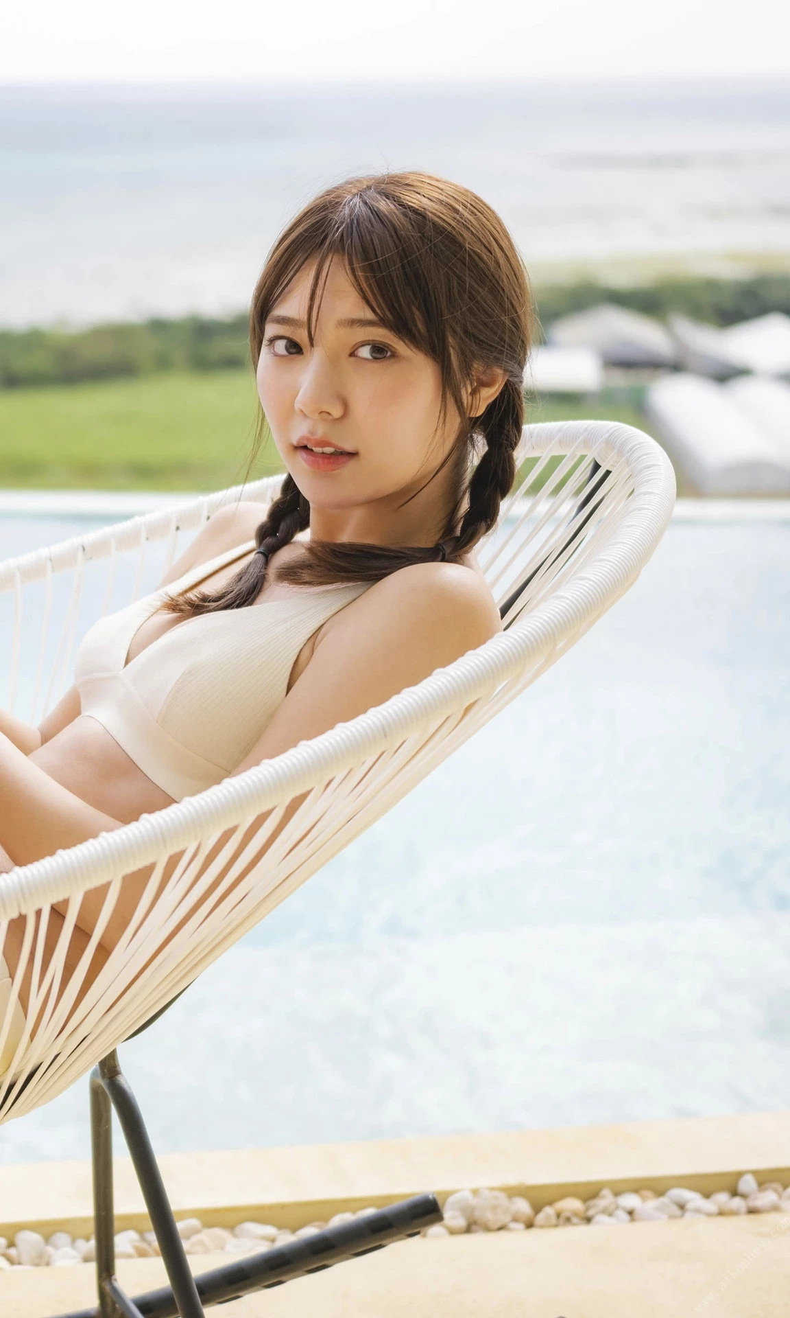 29186068.webp