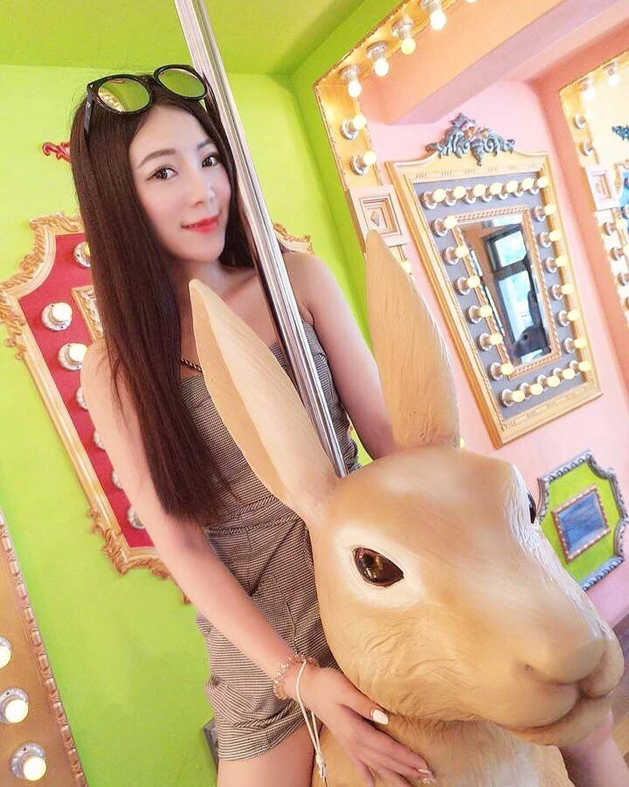 4266644.webp