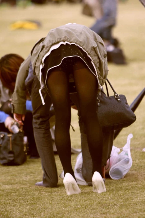 17523198.webp