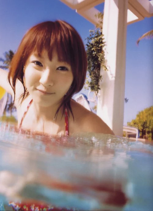 17799795.webp