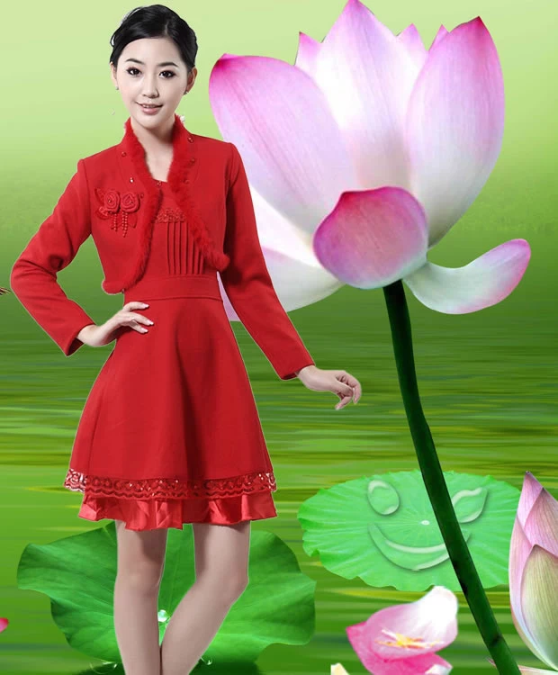 17835527.webp