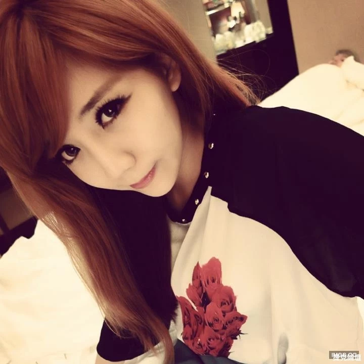 17263401.webp