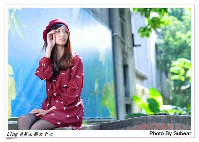 17365008.webp